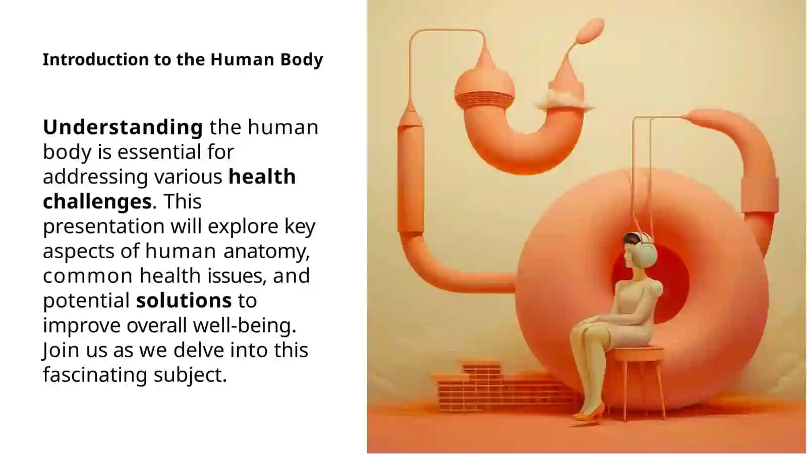 Introduction to the Human Body 2