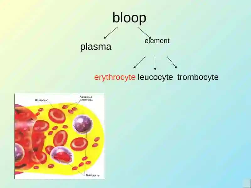 Plasma 2