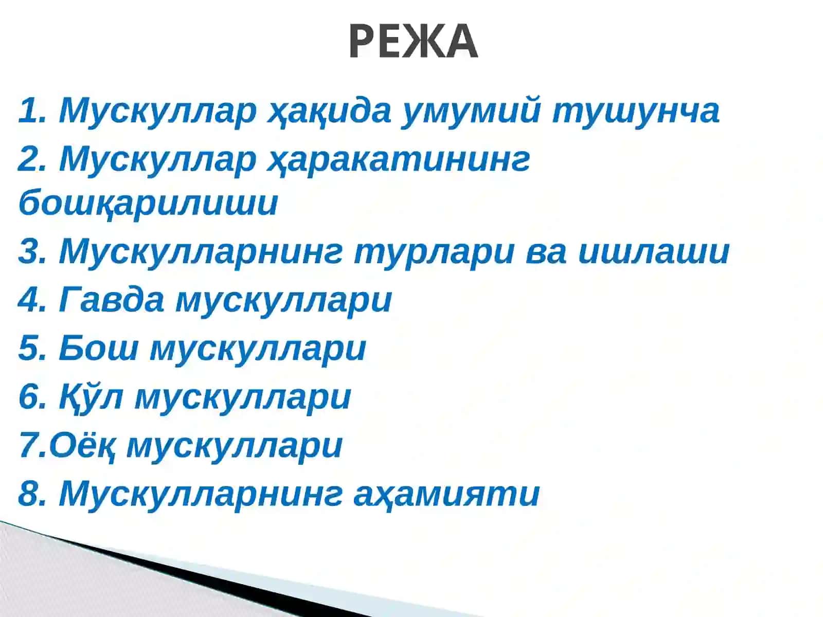 Мускулларнинг тузилиши, вазифалари ва аҳамияти 2
