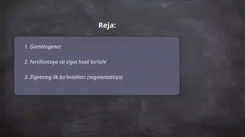 Hujayra ontogenezining rivojlanish bosqichlari 2