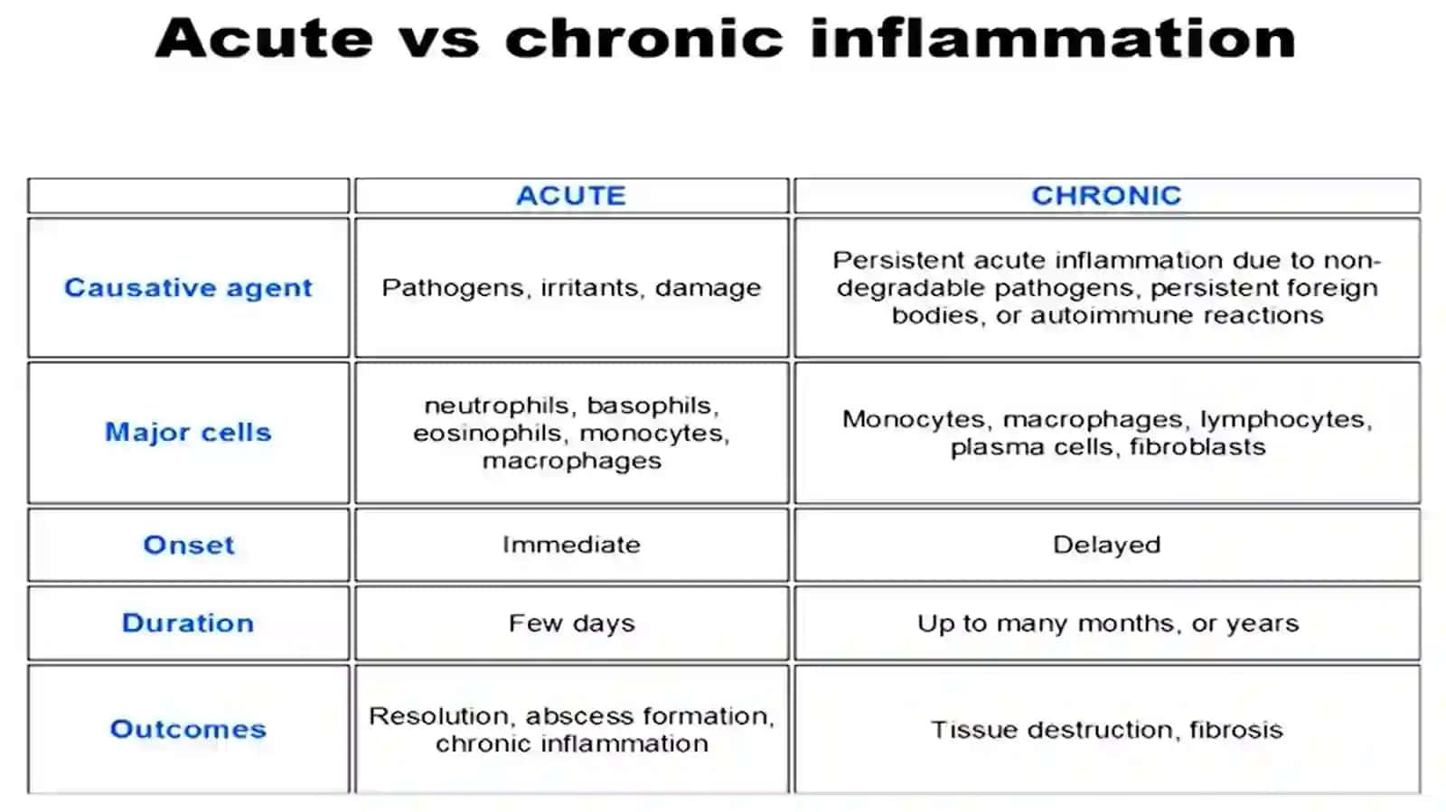 CHRONIC INFLAMMATION 2