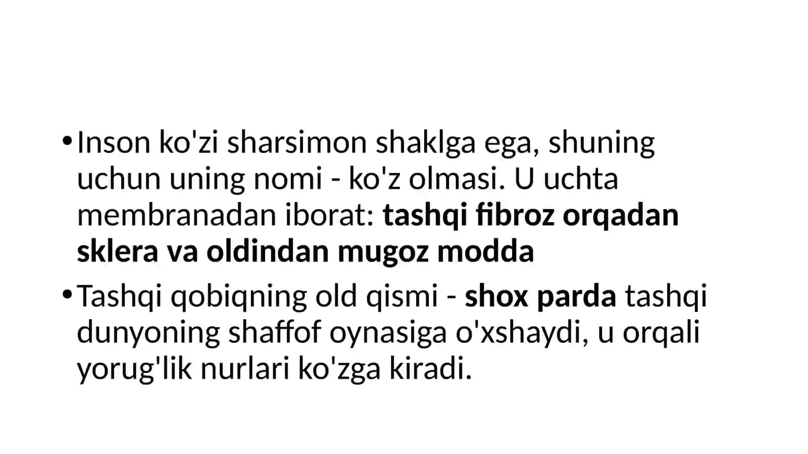 Ko’zning a’zolari anatomiyasi 2