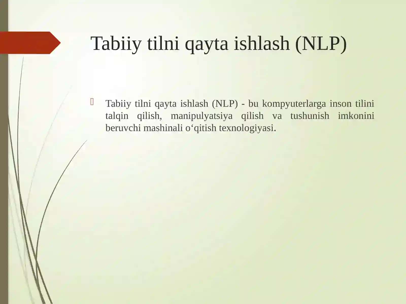 Tabiiy tilni qayta ishlash (NLP) 2