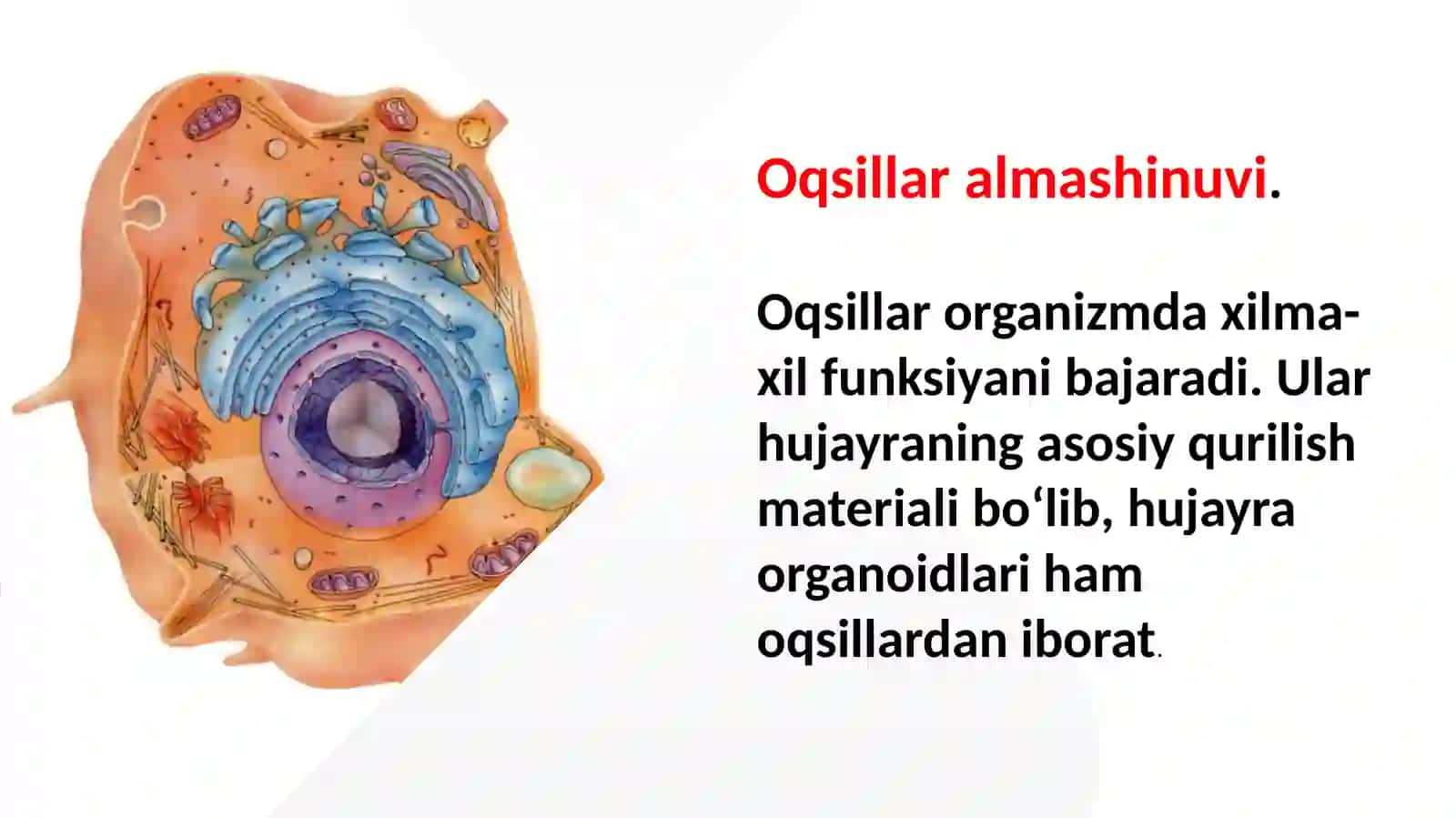 Oqsillar almachinuvi 2
