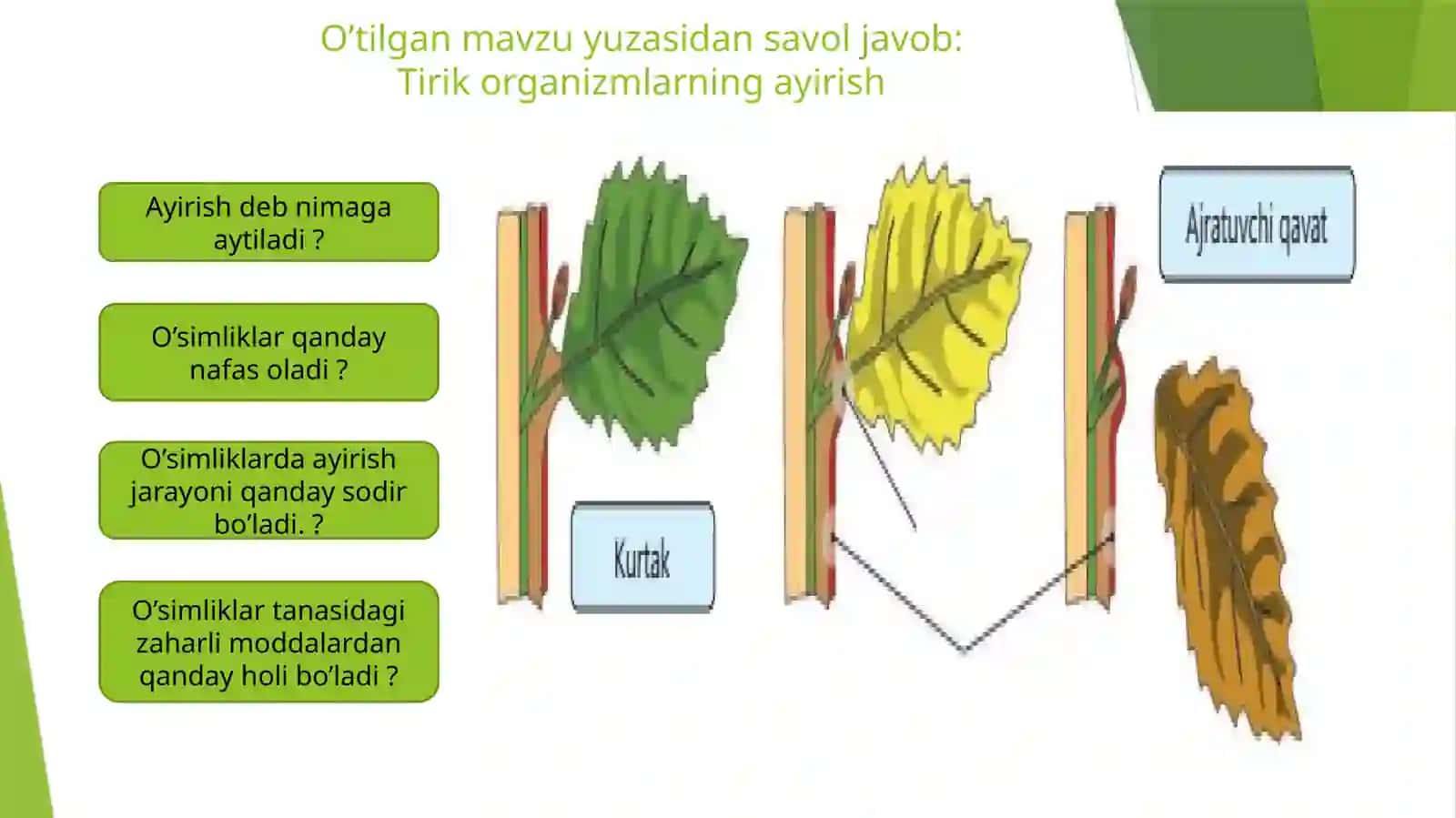 Tirik organizmlarning tasirlanishi 2