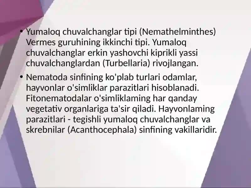 Odamda parazitlik qiluvchi yumaloq chuvalchanglar 2