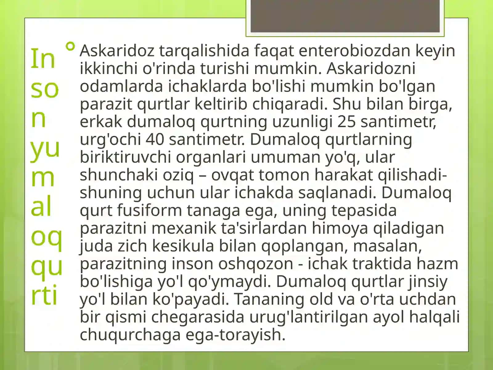 Dumaloq qurt 2