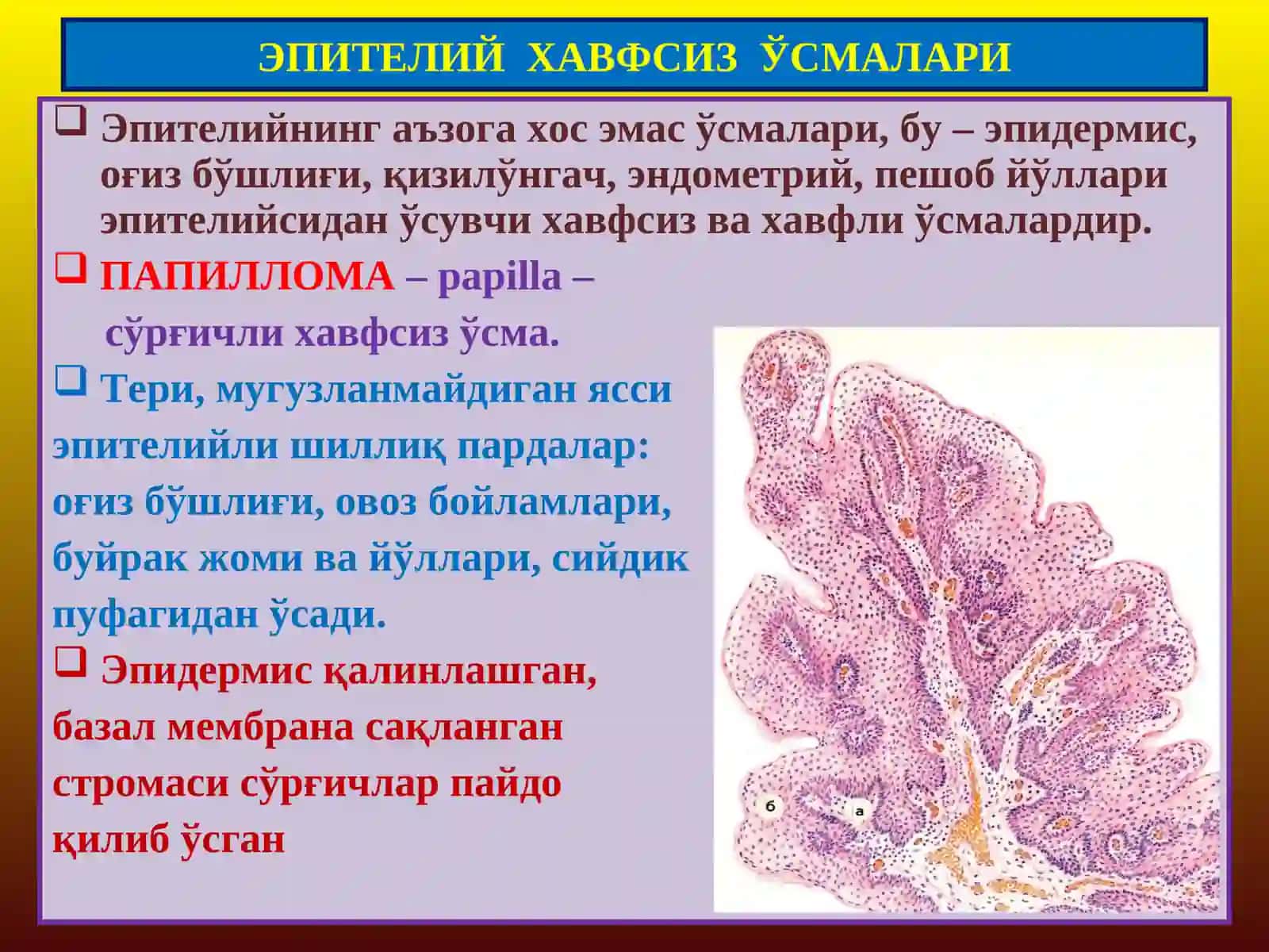 ПАТОЛОГИК АНАТОМИЯ 2