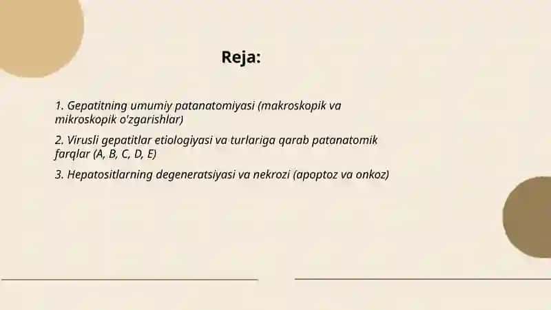 Gepatit, virusli gepatit patanatomiyasi 2