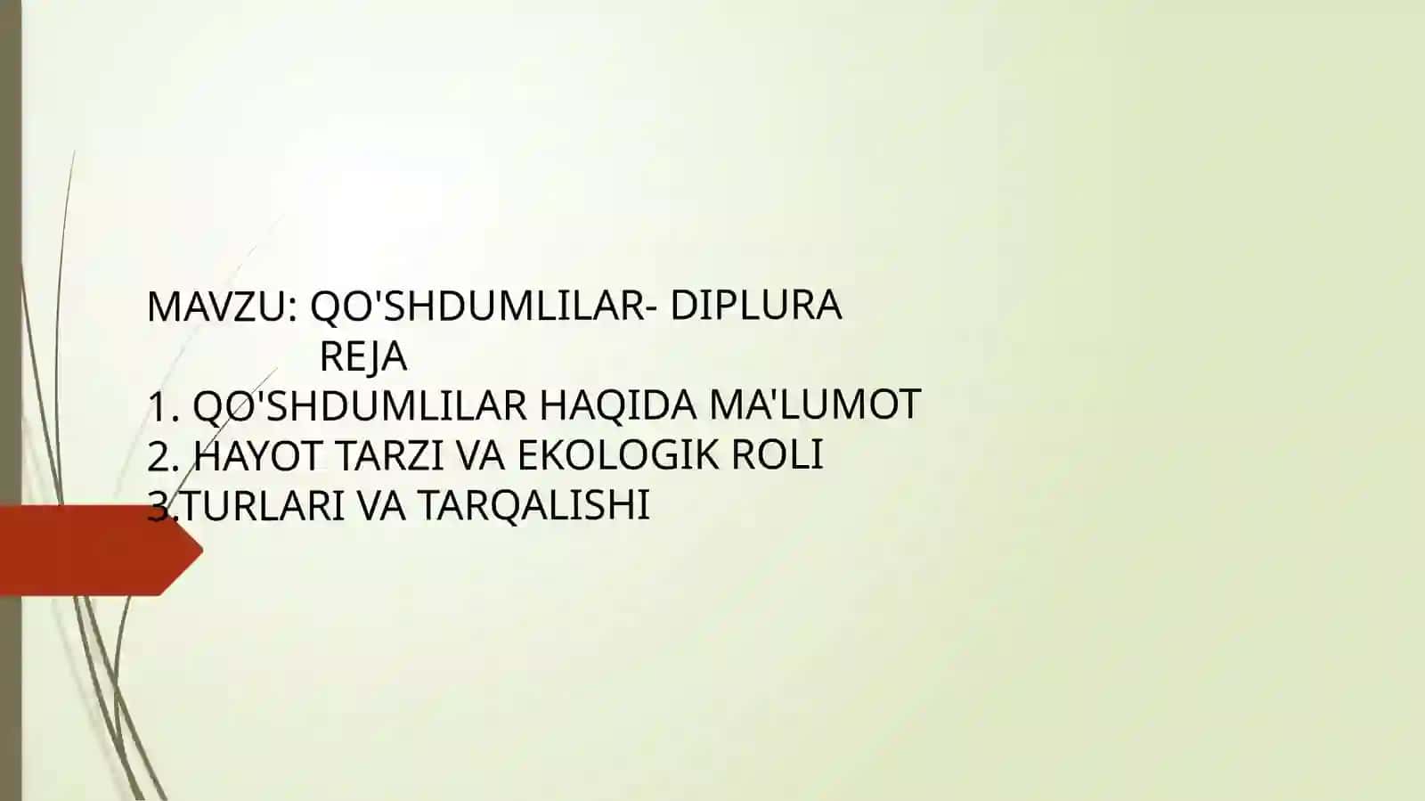 QO'SHDUMLILAR-DIPLURA 2