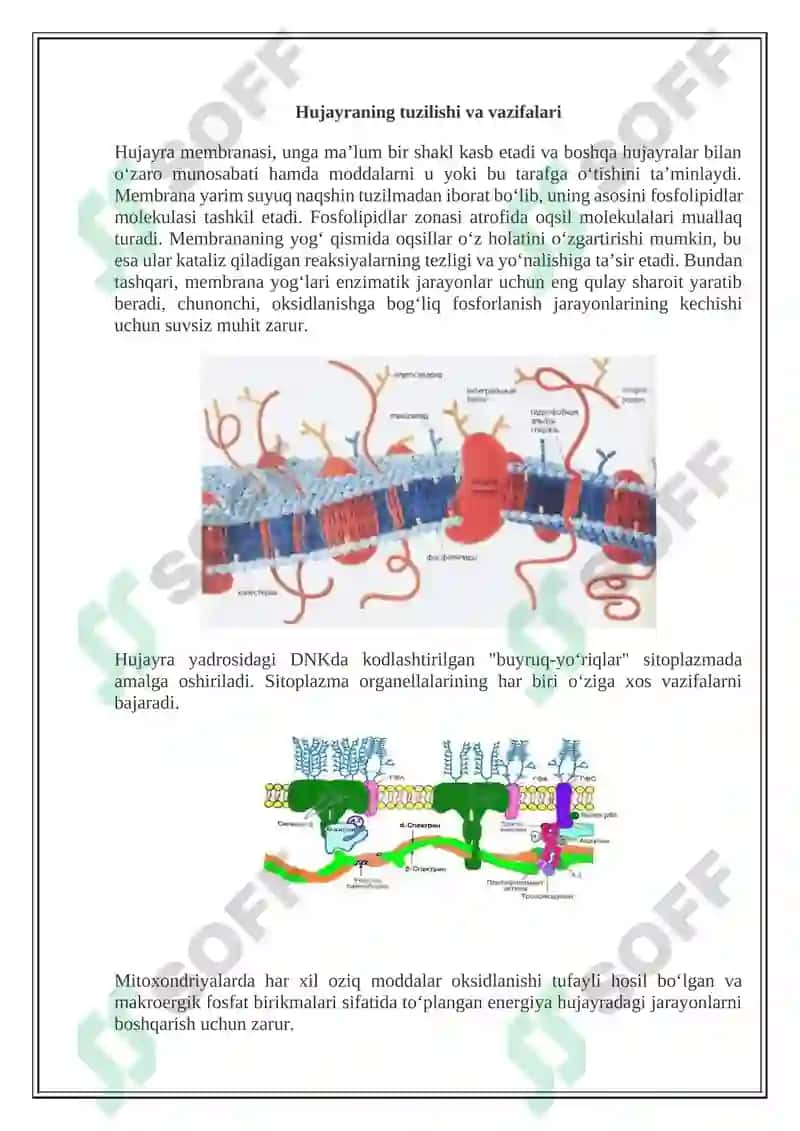 Hujayra patofiziologiyasi 2