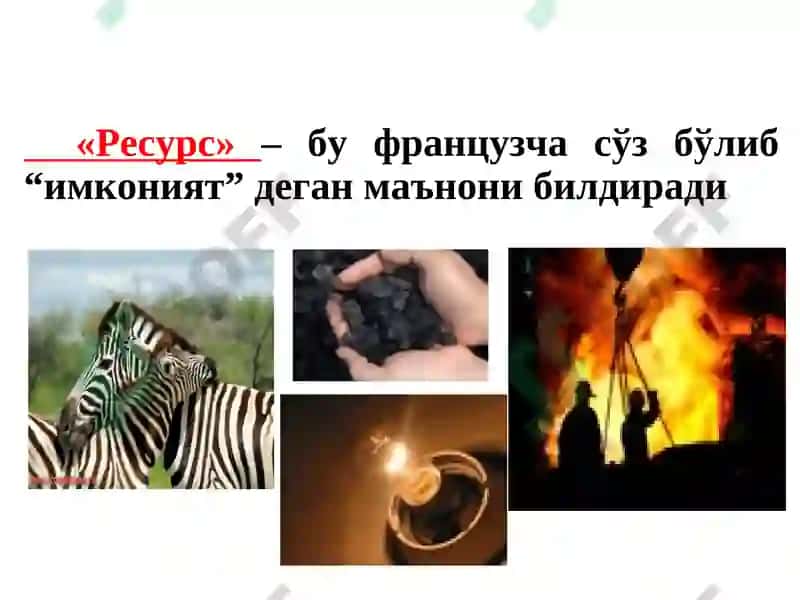 Табиий ресурслар ва ularning turlari 2