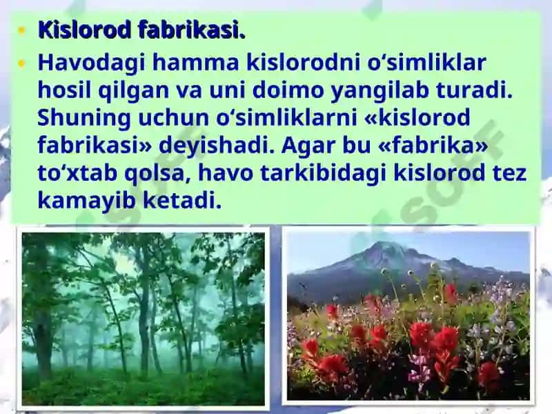 Organizmlarning yer qobiqlariga ta'siri 2