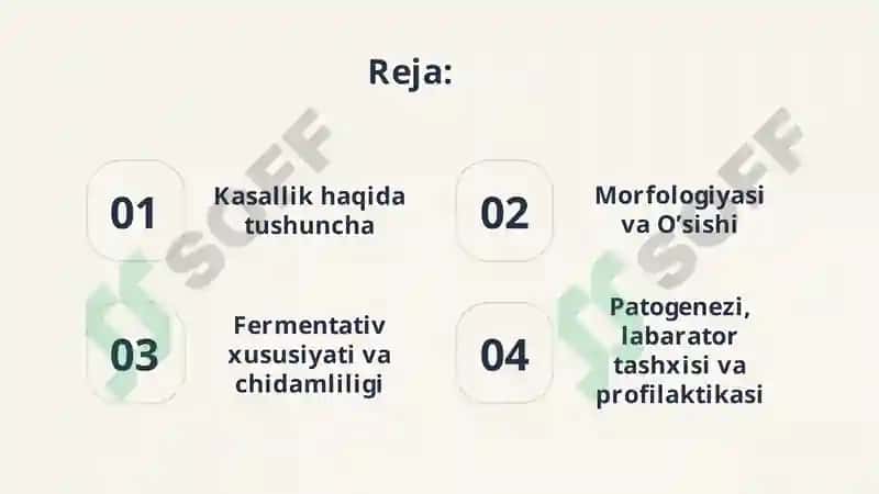 Qorin tifi va Paratif A va V 2