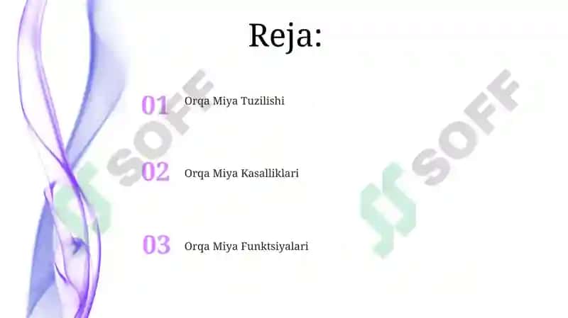 Orqa miya fiziologiyasi 2