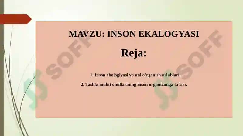 INSON EKOLOGYASI 2