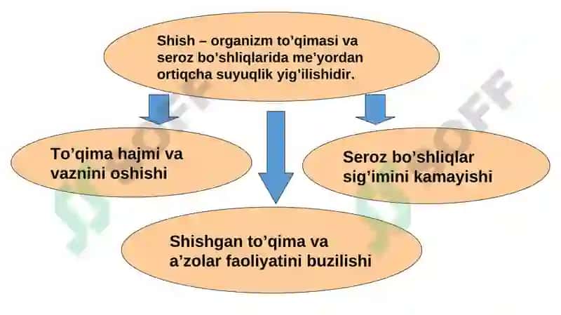ANGIONEVROTIK SHISHI 2