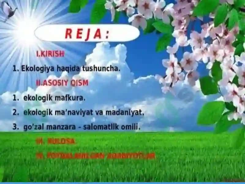 Ekologiya tushunchasi. 2