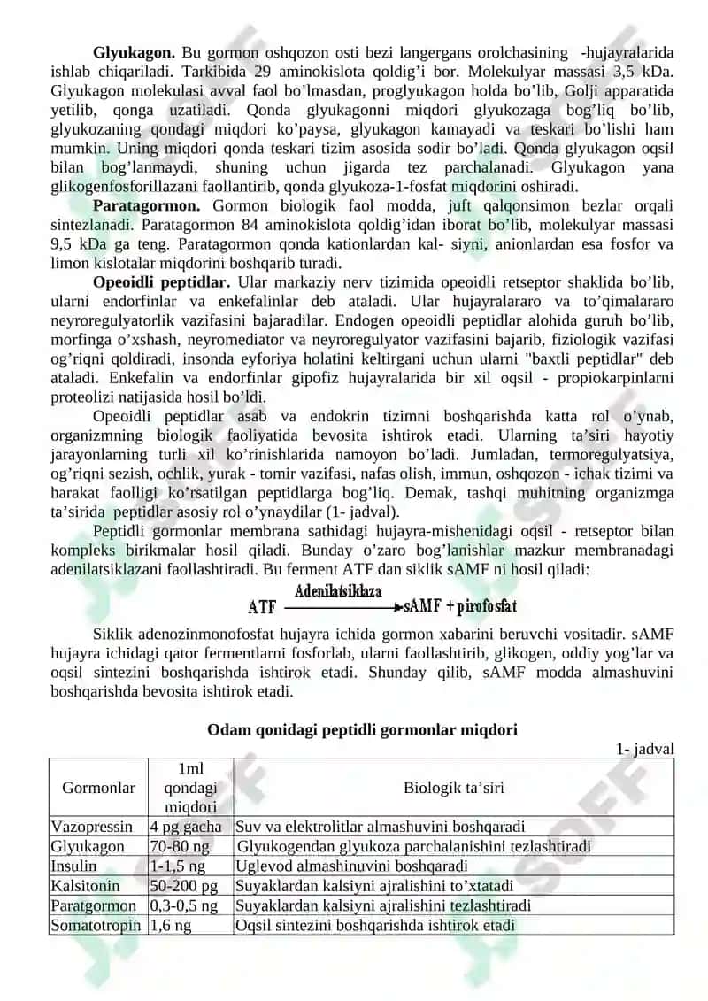 Oqsil va peptid tabiatli gormonlar 2