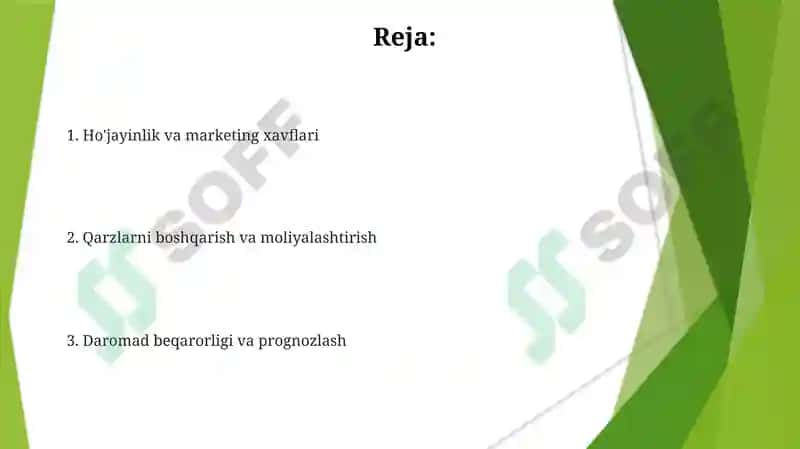 Financial risk management in sports organizations 2