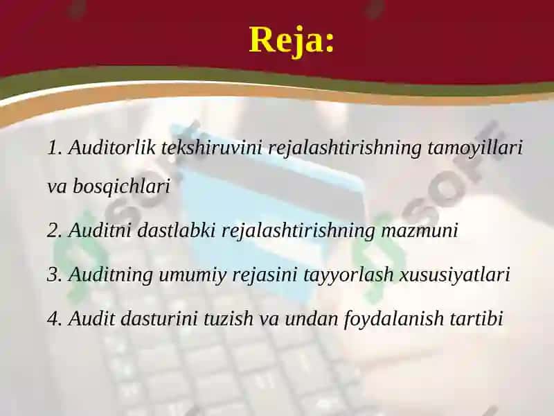 Auditorlik tekshiruvini rejalashtirish 2