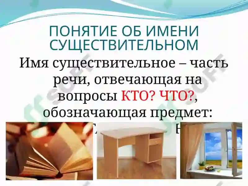 Имя существительное 2