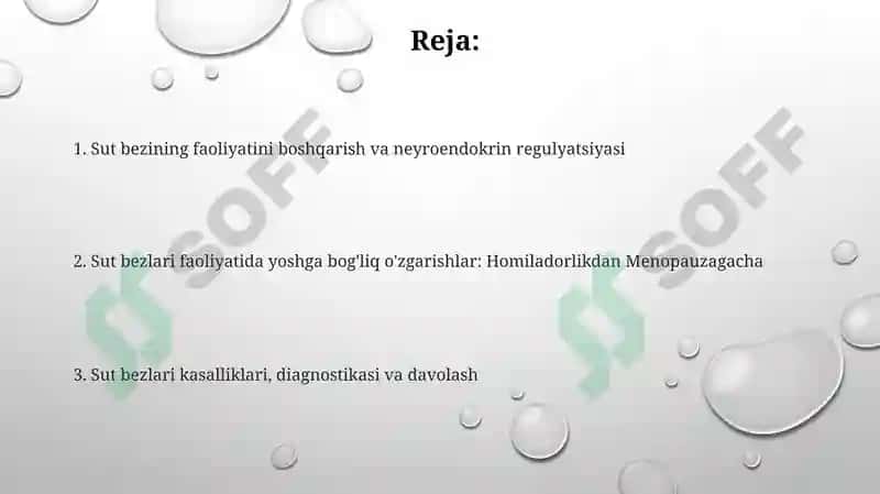 Sut bezlari faoliyatining boshqaruvi 2