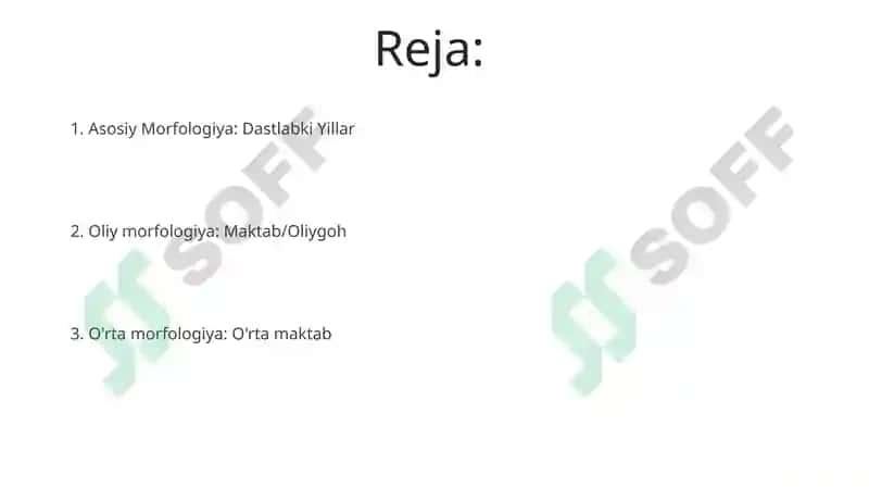 Morfologiya Ta'limi Dars ishlanmalari 2