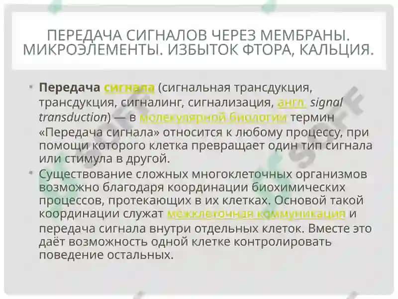Биохимия 2