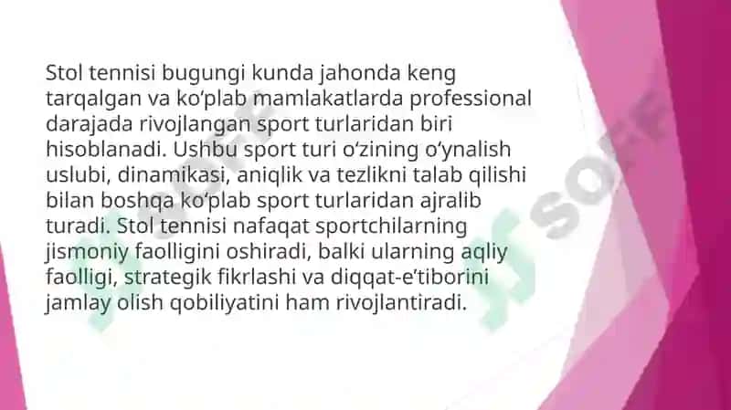 Stoltennis sportturi 2