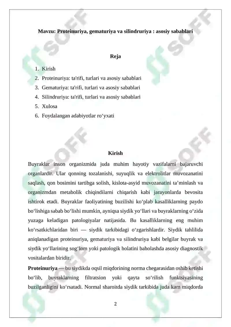 Proteinuriya, gematuriya va silindruriya: asosiy sabablari 2