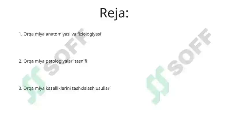 Orqa miya patologiyasi 2