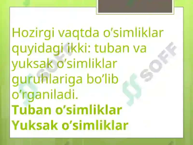 O`simliklar 2