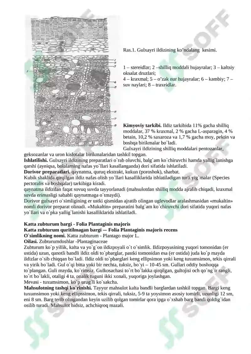 Polisaxaridlar 2