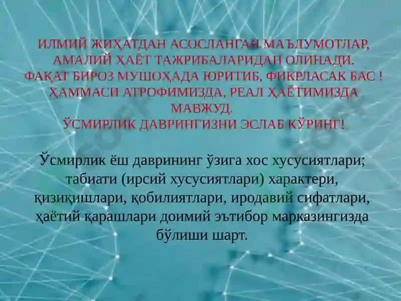 Усмирлик даври 2