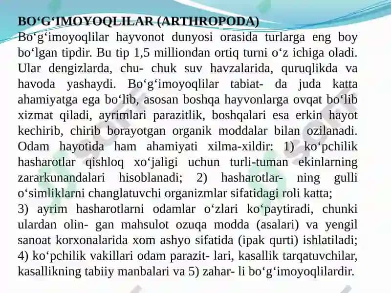 Bo‘g‘imoyoqlilar (Arthropoda) 2