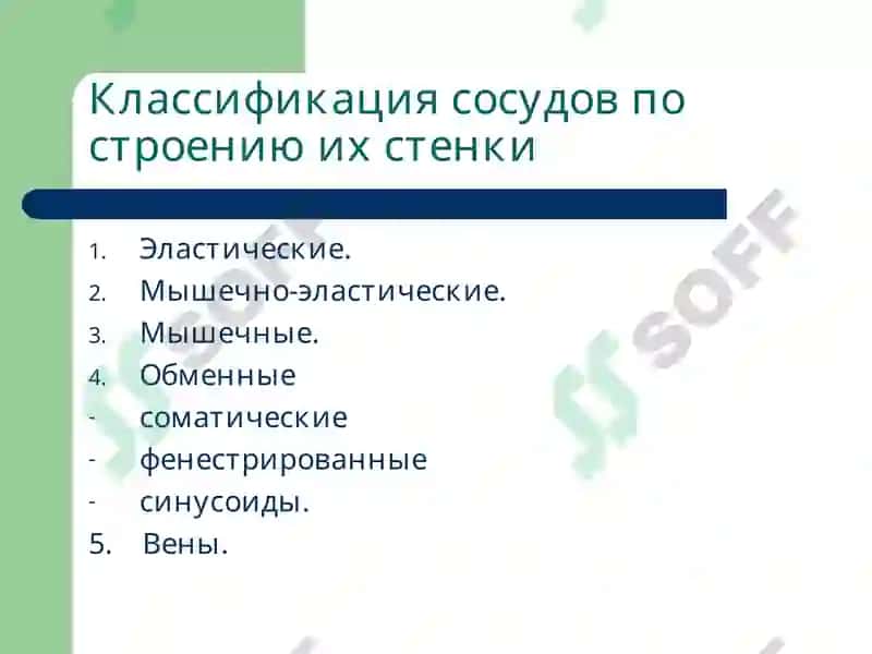 Патофизиология 2