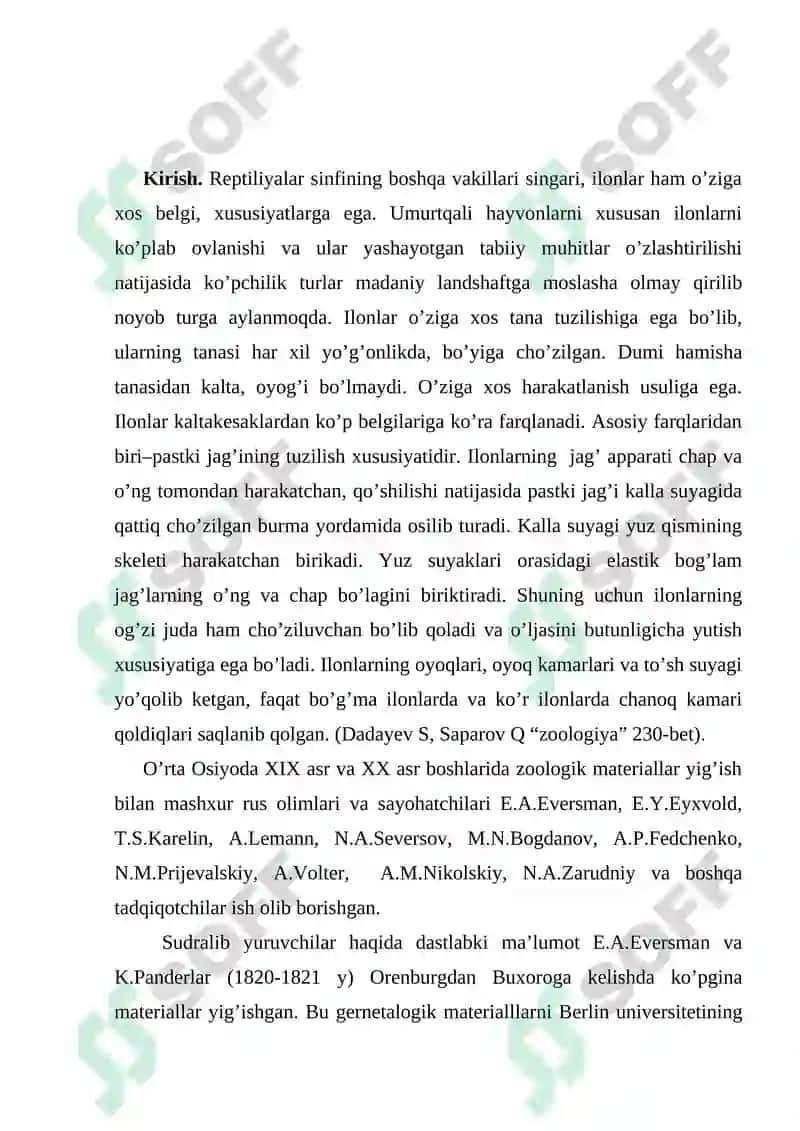 Surxondaryo viloyati sharoitida uchrovchi ilonlar 2