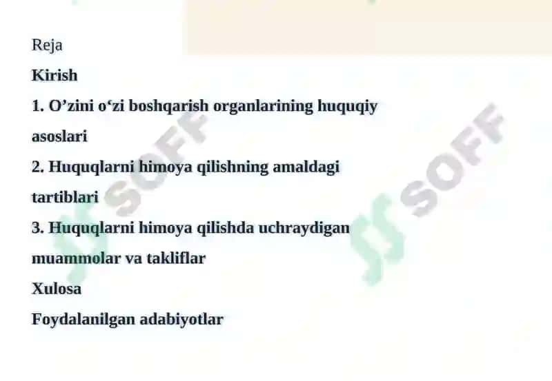 O’ZINI O‘ZI BOSHQARISH ORGANLARINING HUQUQLARINI HIMOYA QILISH 2