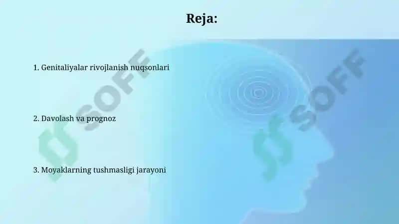 Moyakning yorg'oqga tushishi jarayoni 2