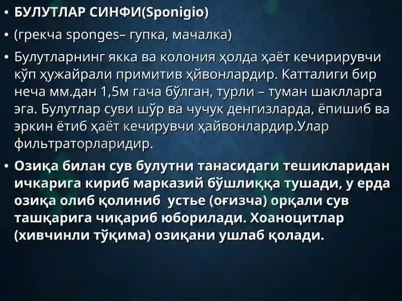 БУЛУТЛАР ТИПИ (Spongia) 2