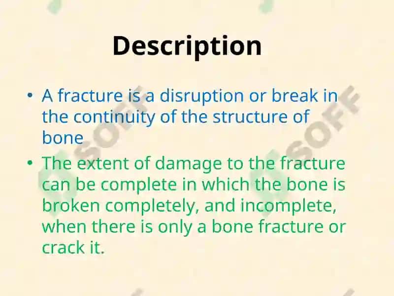 Fracture Management and Primary Care 2