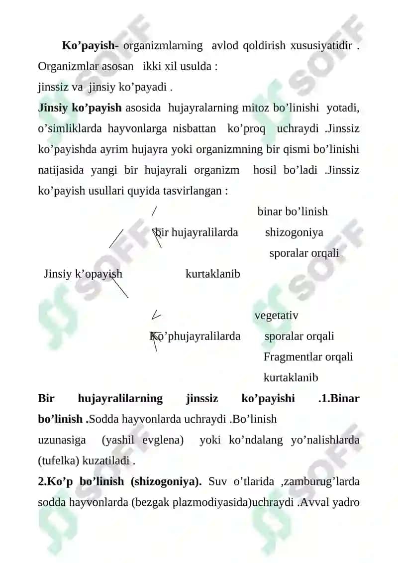 Jinssiz va Jinsiy Ko'payish 2