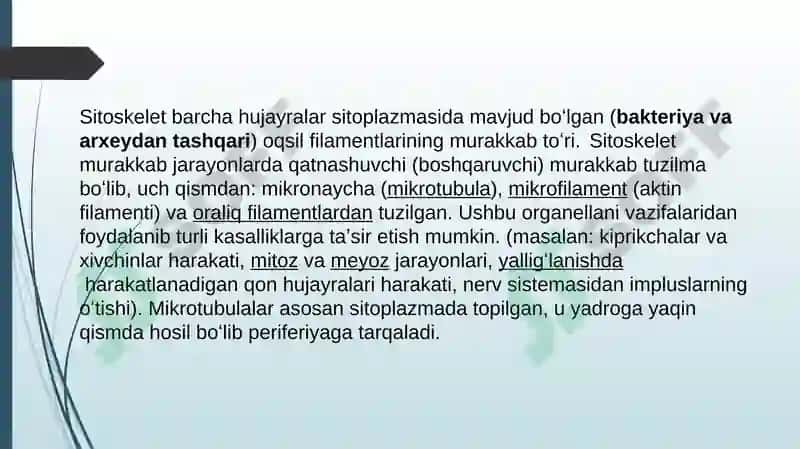 Hujayra sitoskeletining strukturaviy va funksional tashkili 2
