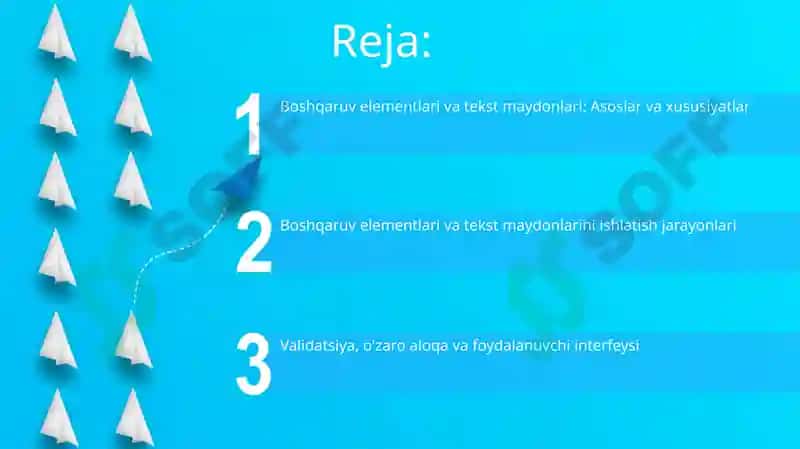 Boshqaruv Elementlari va Tekst Maydonlari 2