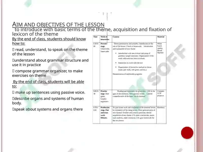 Organs and systems (Human Body) 2