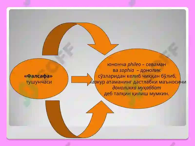 Фалсафа 2