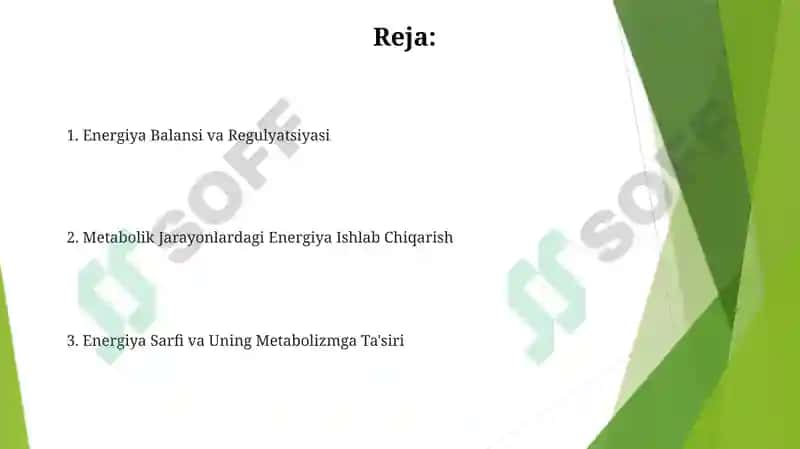 Energiya Balansi va Regulyatsiyasi 2