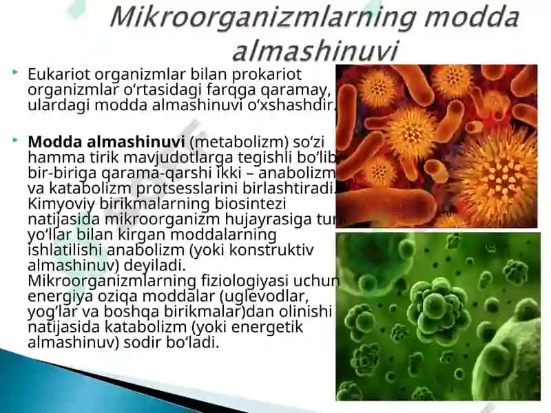 Modda almashinuvi(metabolizm) 2