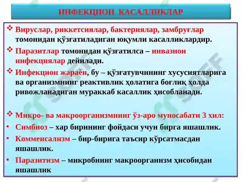 Инфекцион касалликлар 2